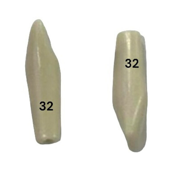 Tooth 32