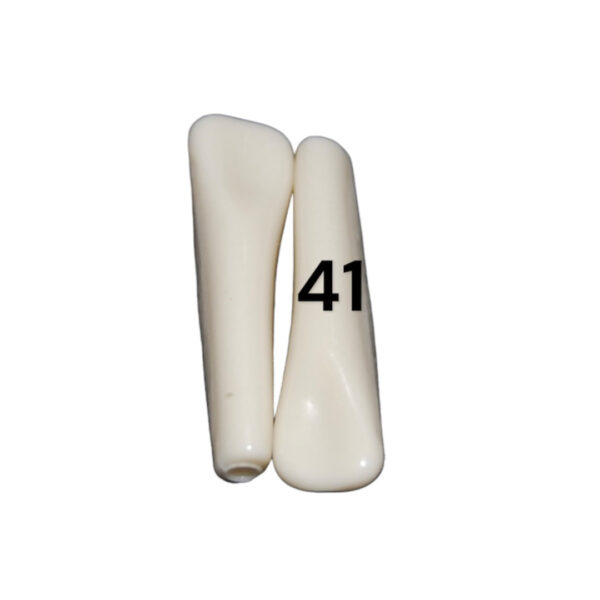 Tooth 41