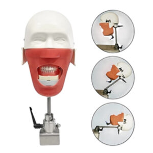 ADC Manikin