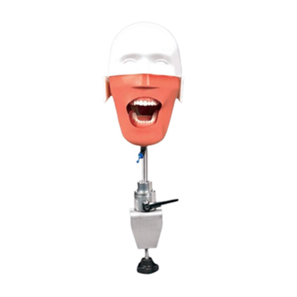 ADC Manikin - Image 2