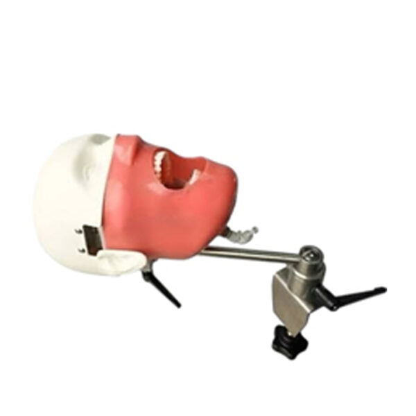 ADC Manikin - Image 3