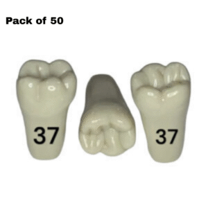 Plain teeth