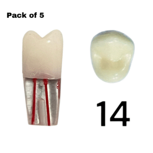 Endo Teeth
