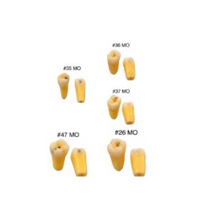Caries Teeth MO Connected Pack of 5